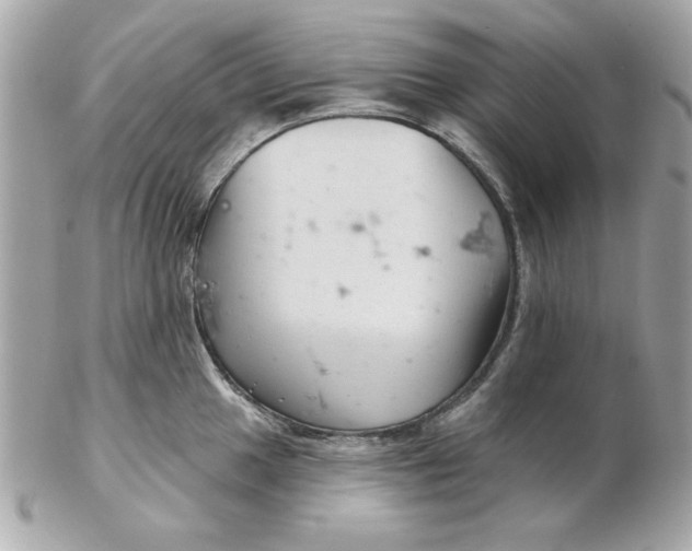 X0000102541049200808291838