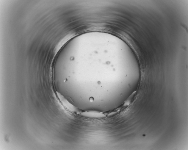 X0000102541050200808291838