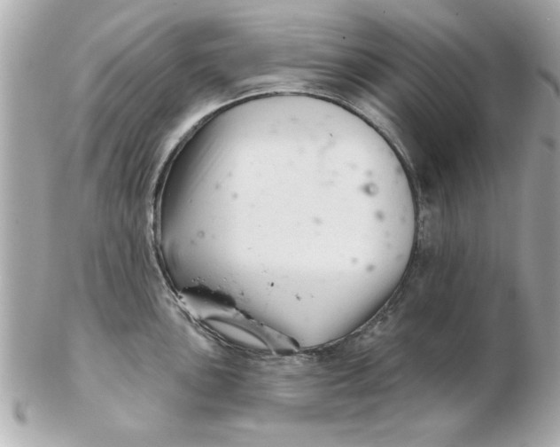 X0000102541051200808291838