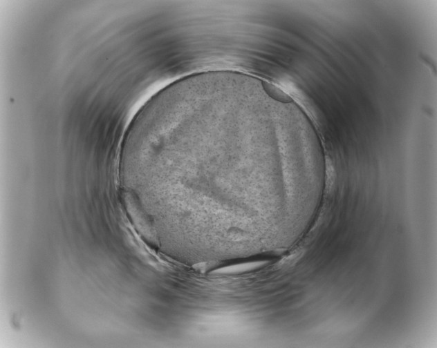 X0000102541052200808291838