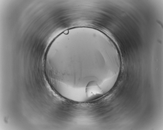 X0000102541053200808291838