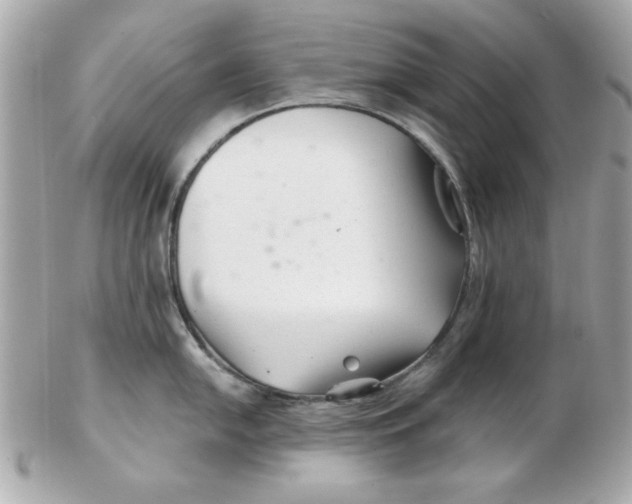 X0000102541054200808291838