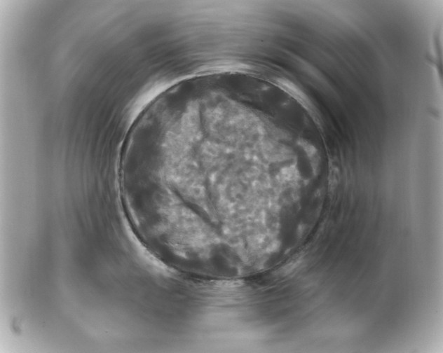 X0000102541055200808291838