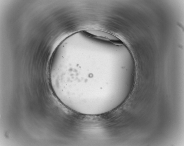 X0000102541056200808291838