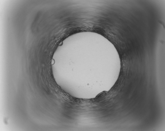 X0000102541057200808291837