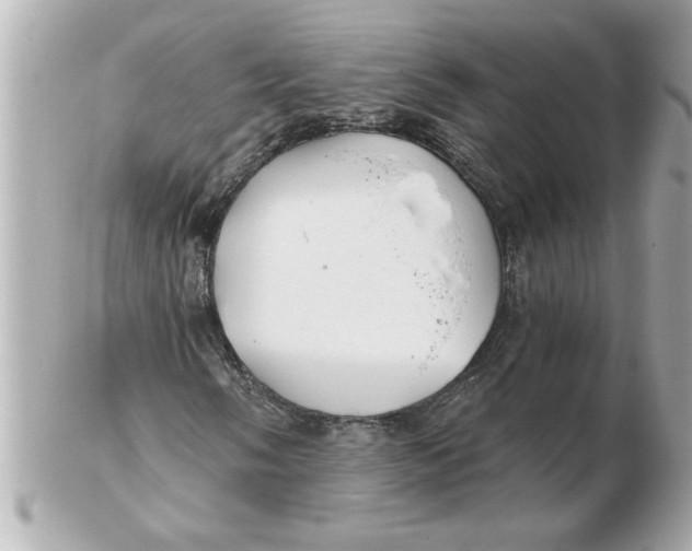 X0000102541058200808291837