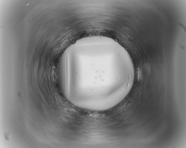 X0000102541059200808291837