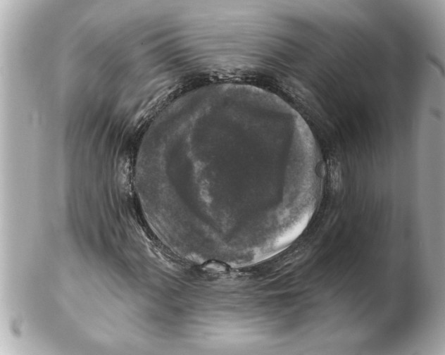 X0000102541060200808291837