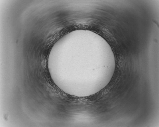 X0000102541061200808291837