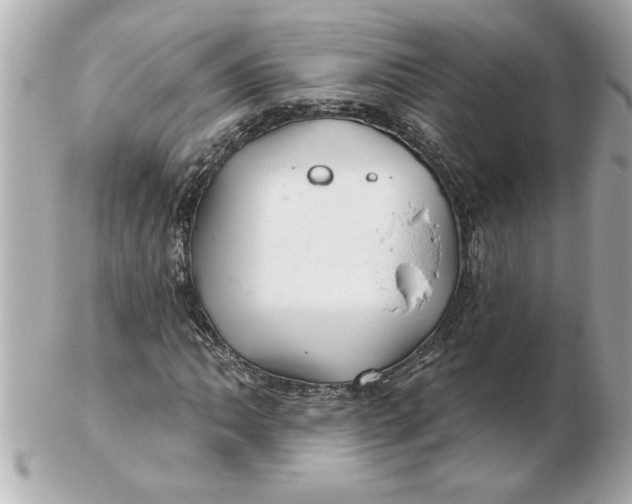 X0000102541062200808291837