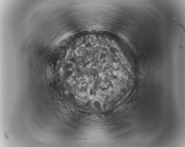 X0000102541063200808291837