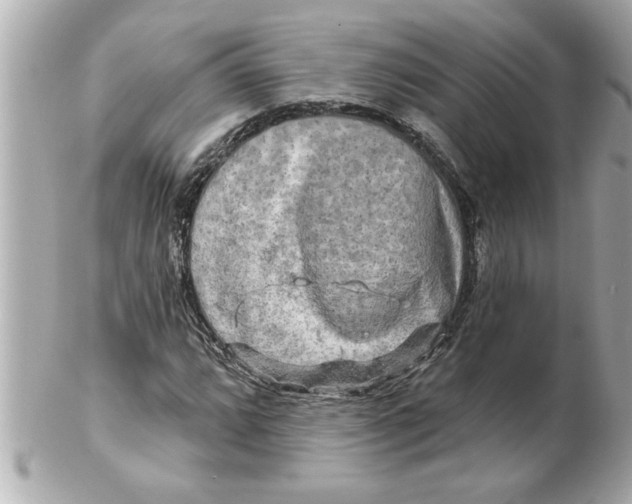 X0000102541064200808291837