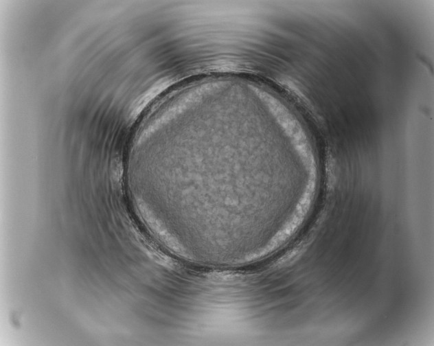 X0000102541065200808291837