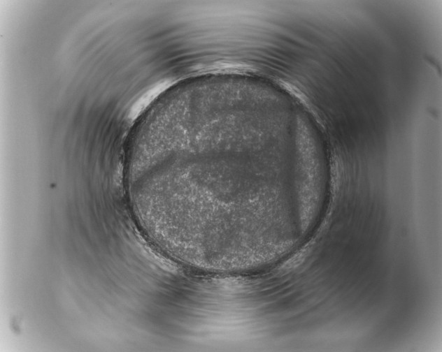 X0000102541066200808291837