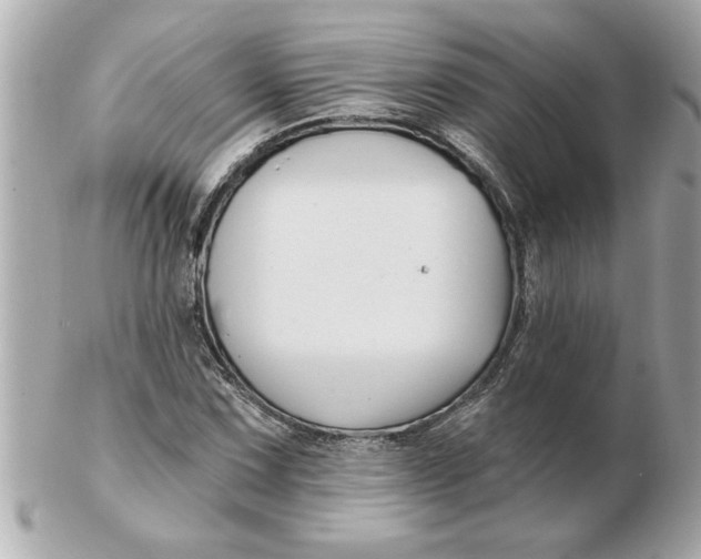 X0000102541067200808291837