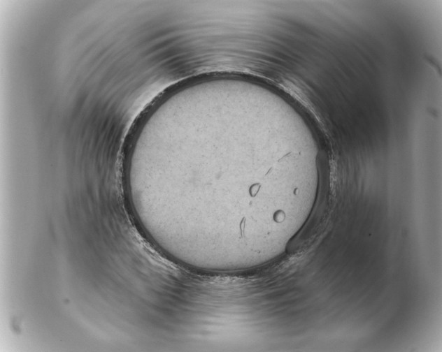 X0000102541068200808291837