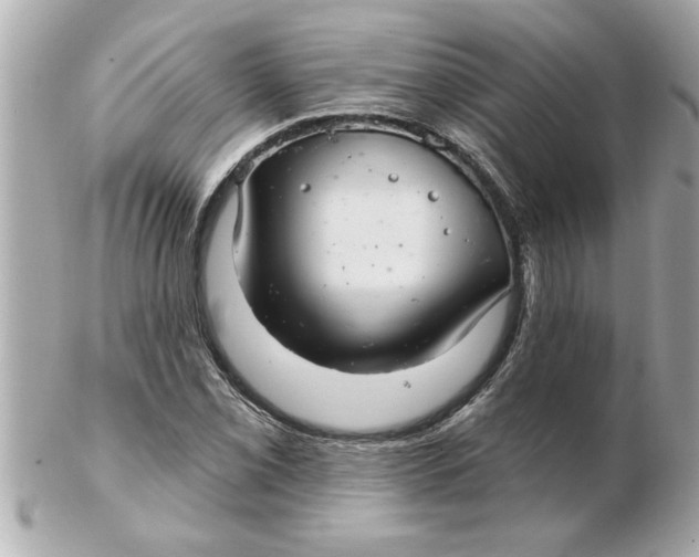 X0000102541069200808291837