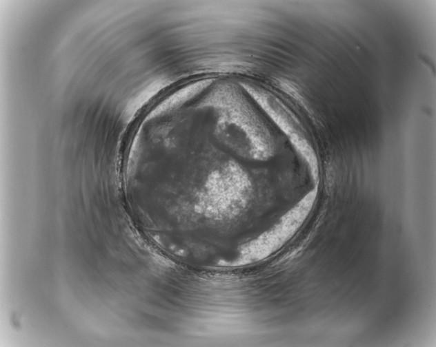 X0000102541071200808291837