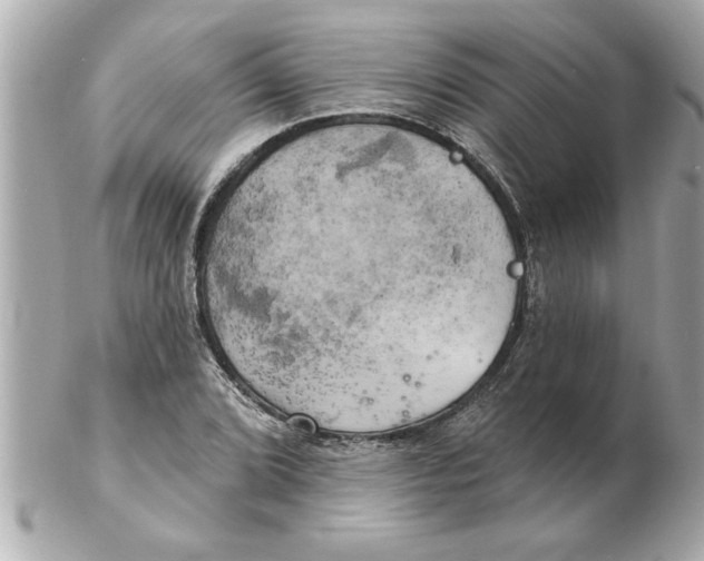 X0000102541072200808291837