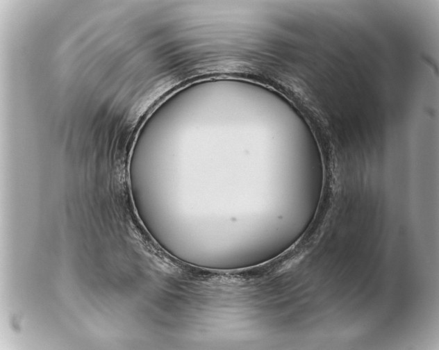 X0000102541073200808291837