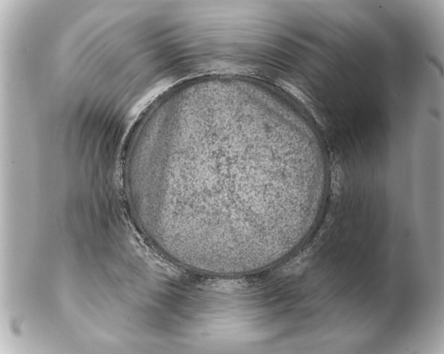 X0000102541074200808291837