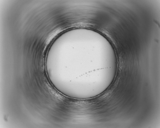 X0000102541075200808291837