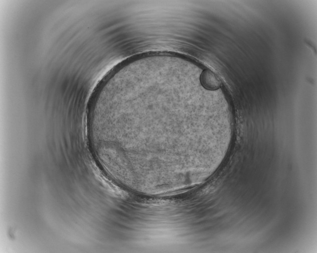 X0000102541076200808291837