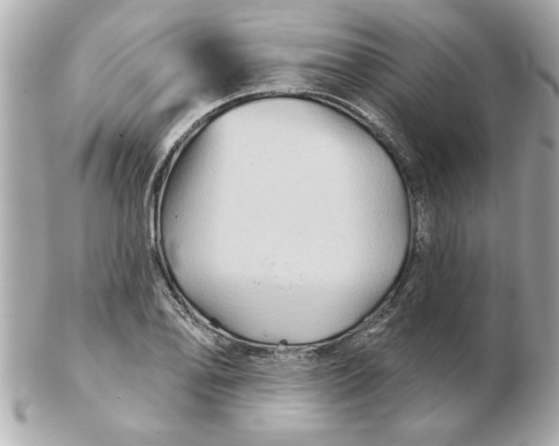 X0000102541078200808291837