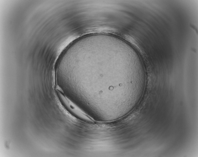 X0000102541079200808291837