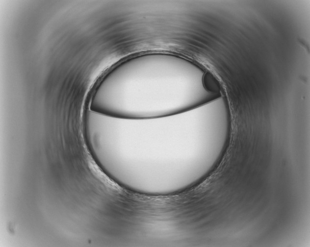 X0000102541080200808291837