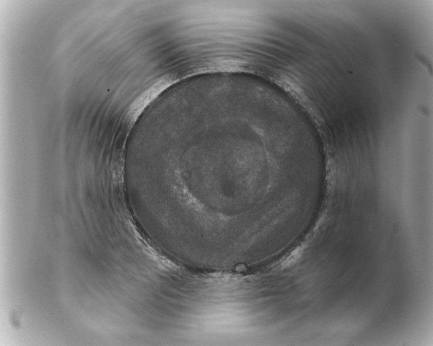 X0000102541081200808291837