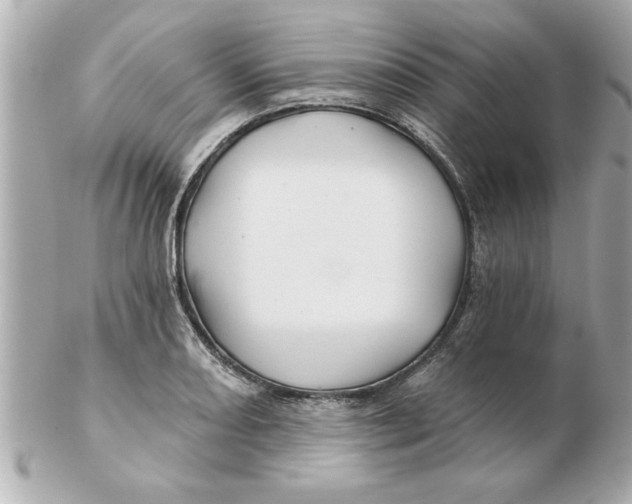 X0000102541082200808291837