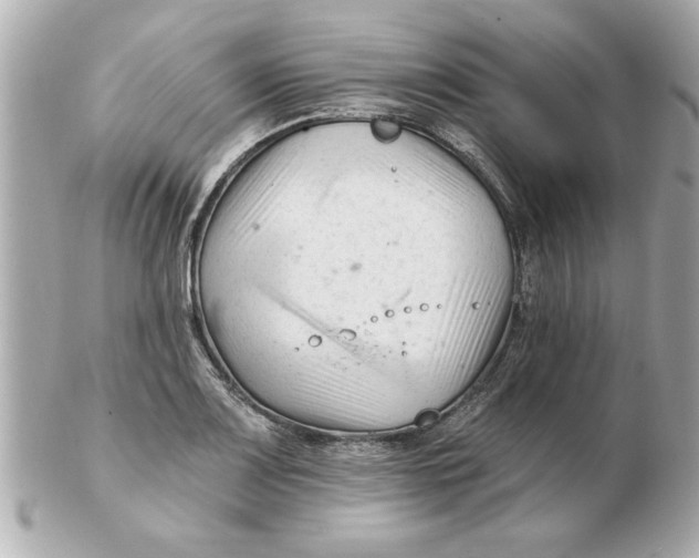 X0000102541083200808291837