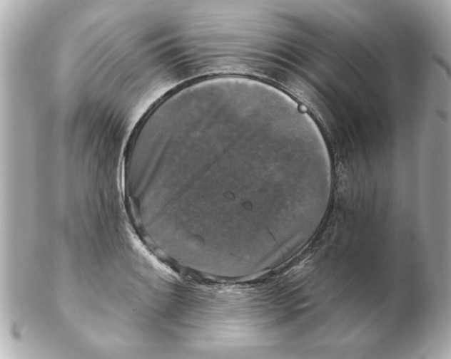 X0000102541084200808291837