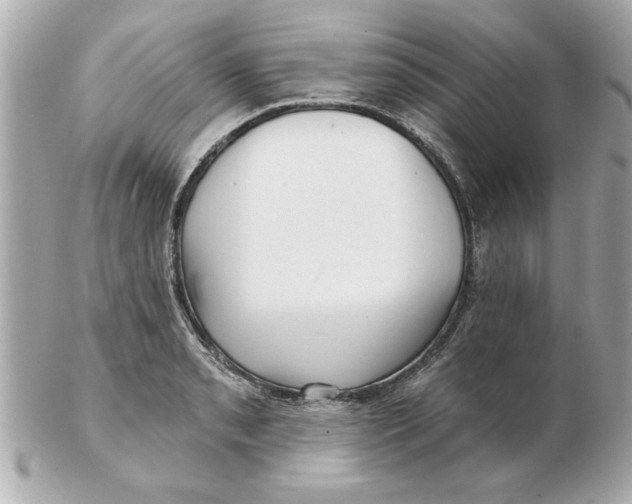 X0000102541085200808291837