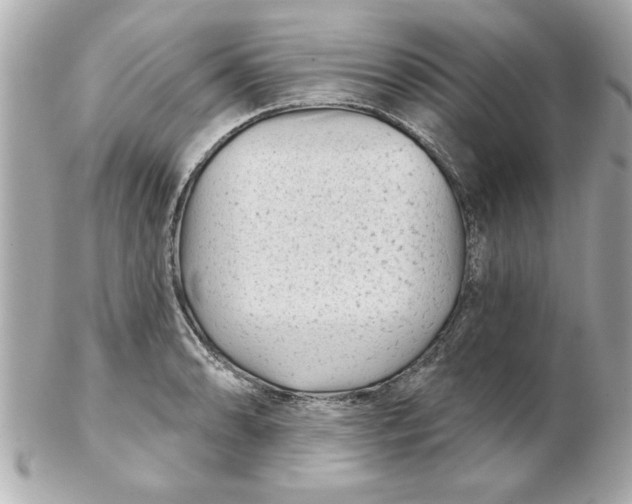 X0000102541086200808291837