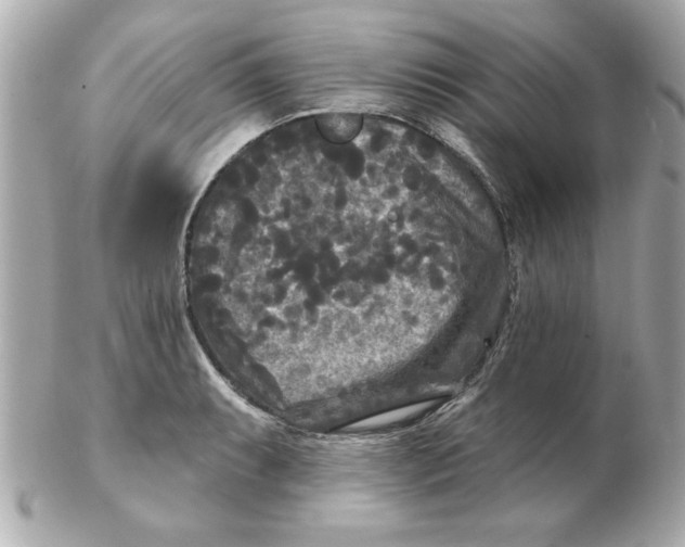 X0000102541087200808291837