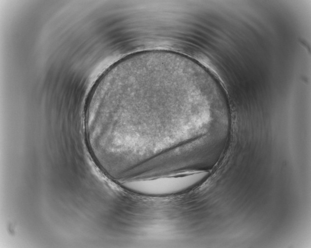 X0000102541088200808291837