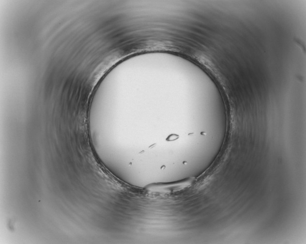 X0000102541089200808291837