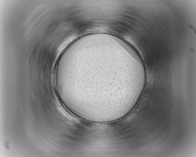 X0000102541090200808291837