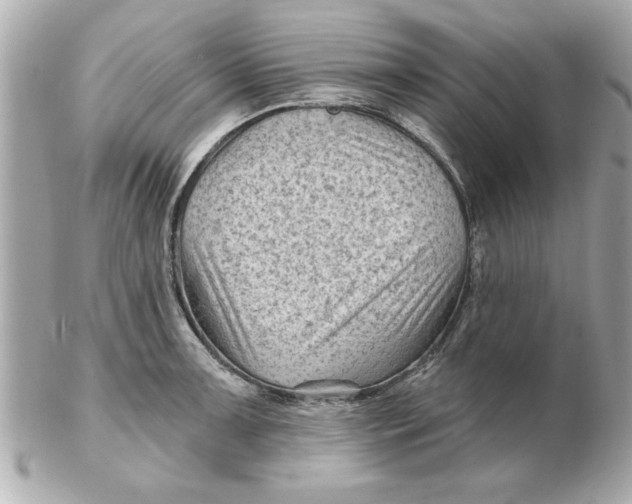 X0000102541091200808291837