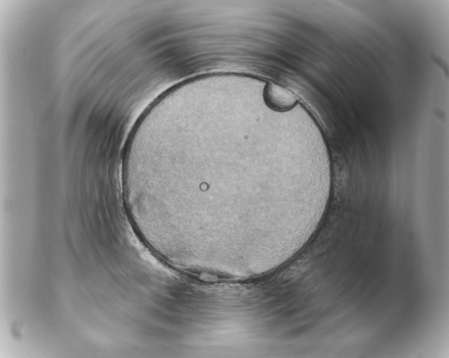 X0000102541092200808291837