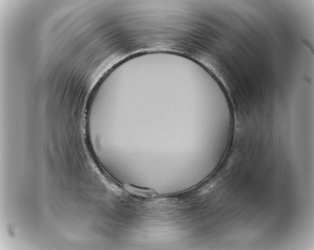 X0000102541093200808291837