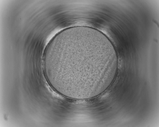 X0000102541094200808291837