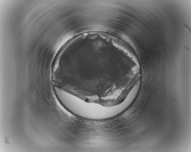 X0000102541095200808291837