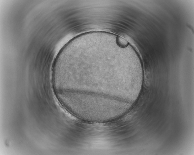 X0000102541096200808291837