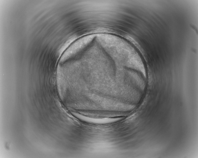 X0000102541097200808291837