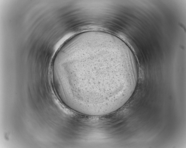 X0000102541098200808291837