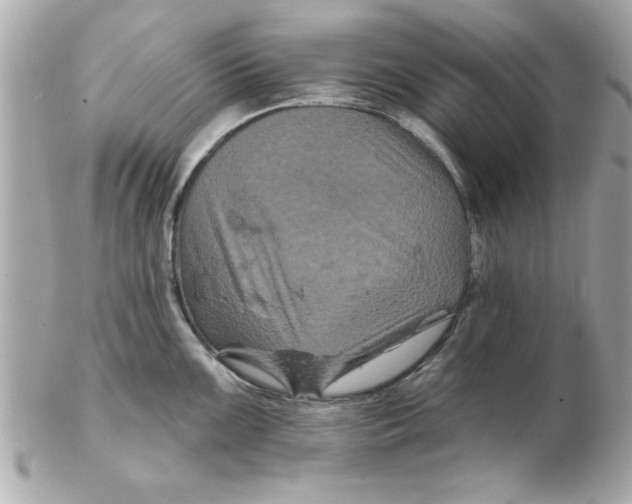 X0000102541099200808291836