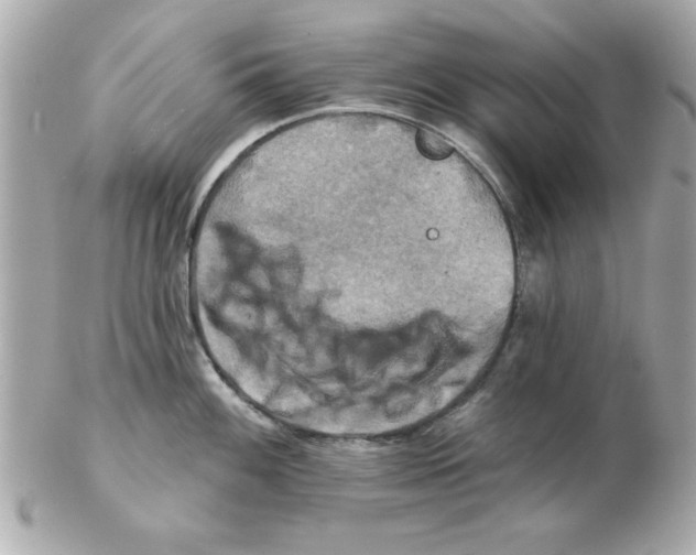 X0000102541100200808291836